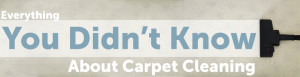 how to clean a carpet