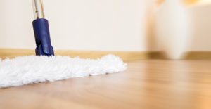 hardwood cleaning mop