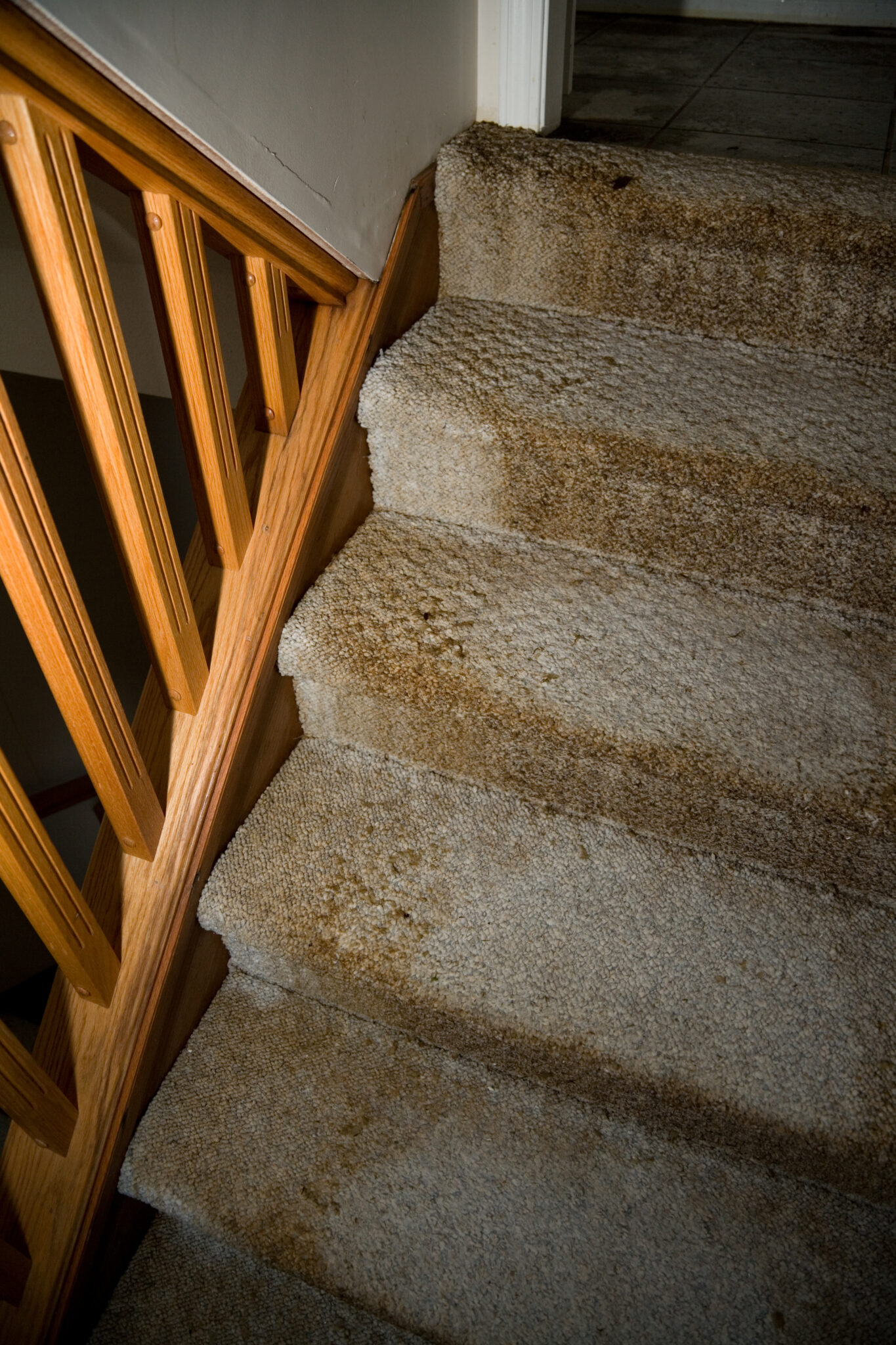 what-to-do-about-flood-damaged-carpet-check-out-these-tips-the