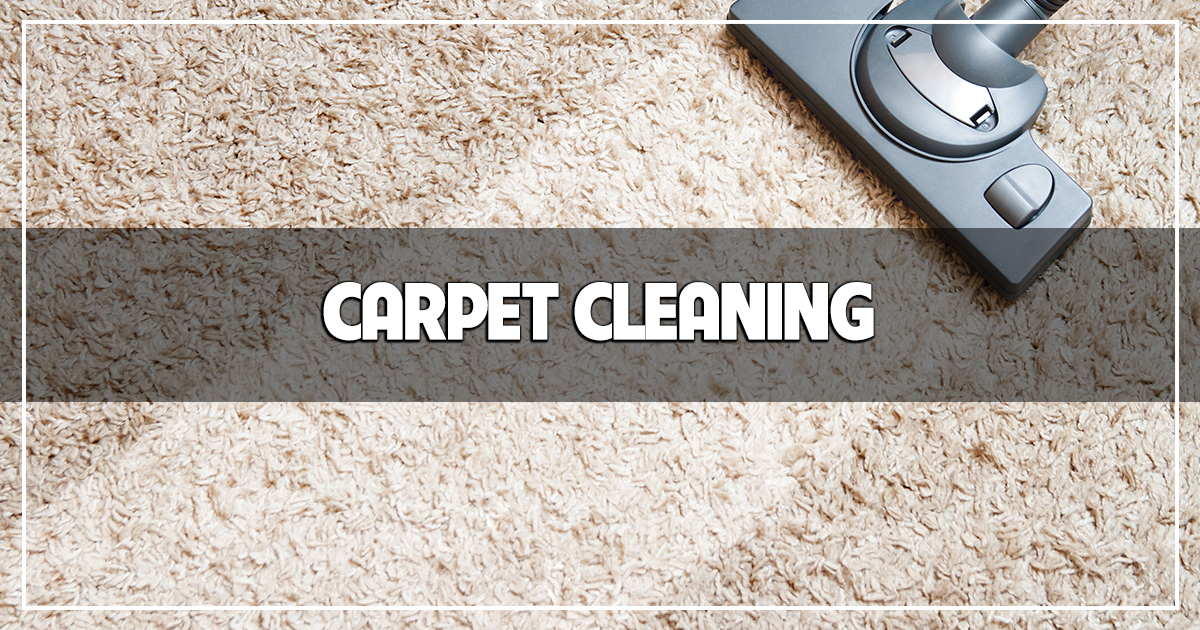 Where to Find the BEST Carpet Cleaning - The Carpet Guys