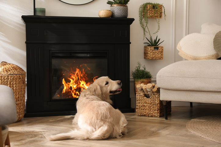 Best Flooring for Homes with Fireplaces: Creating a Cozy Fall Vibe