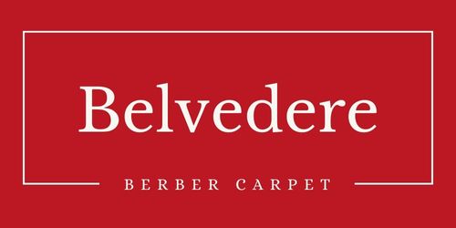 https://www.carpetguys.com/product/logos/belvedere-carpet_logo.jpg